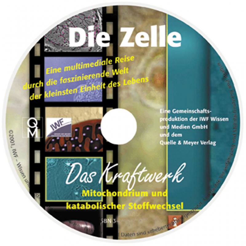Die Zelle – Das Kraftwerk