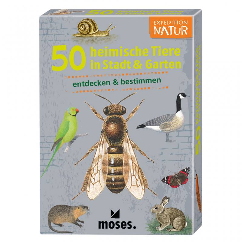 Expedition Natur – 50 heimische Tiere in Stadt & Garten