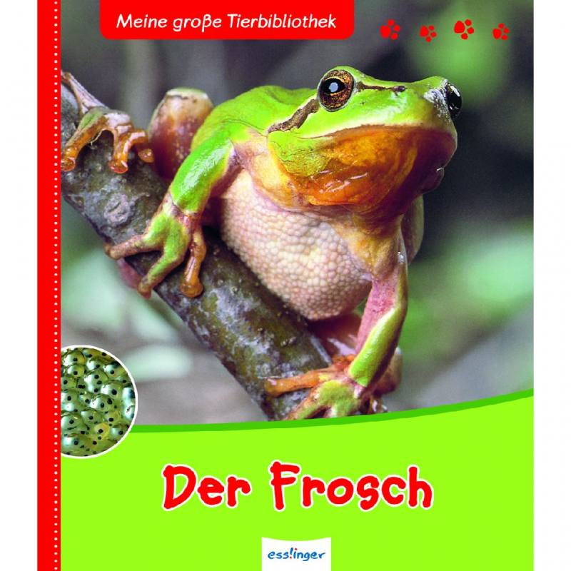 Meine große Tierbibliothek - Der Frosch