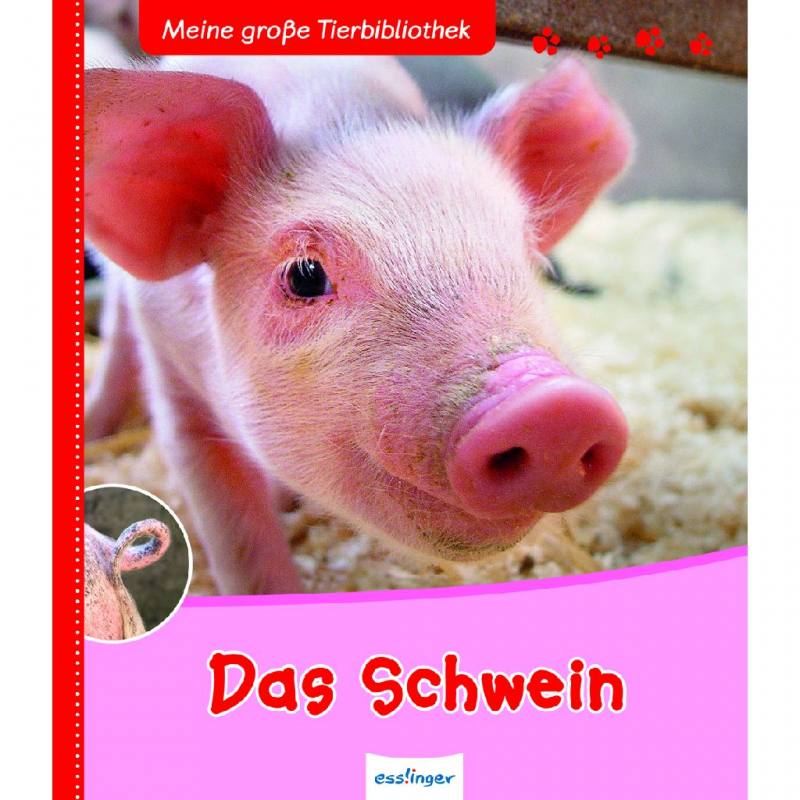 Meine große Tierbibliothek - Das Schwein