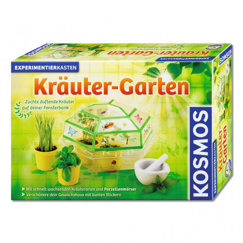 Duftende Kräuter auf der Fensterbank züchten