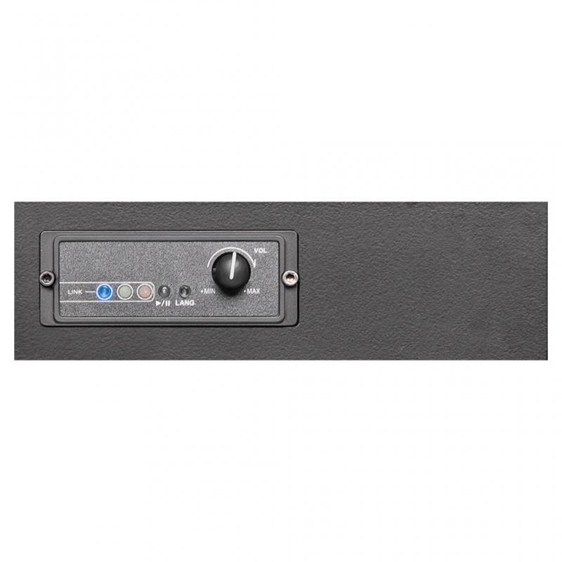 Bluetooth-Player-Modul DSM-100 BT