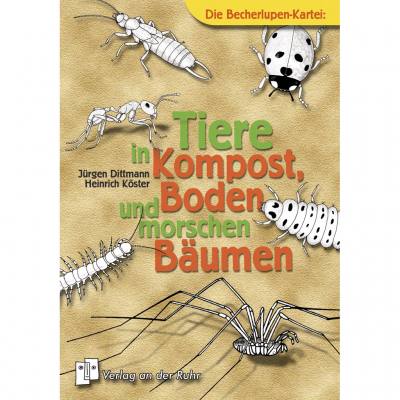 Kartei – Tiere im Kompost, Boden und morschen Bäumen