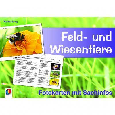 Feld- und Wiesentiere