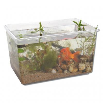 Aquarium aus Kunststoff - in verschiedenen Größen