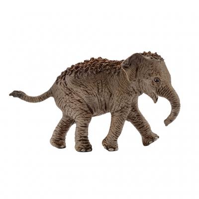 Schleich® Asiatisches Elefantenbaby