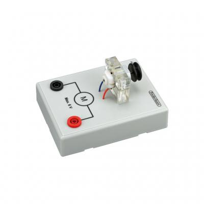 Motor auf Sockel mit Riemenscheibe