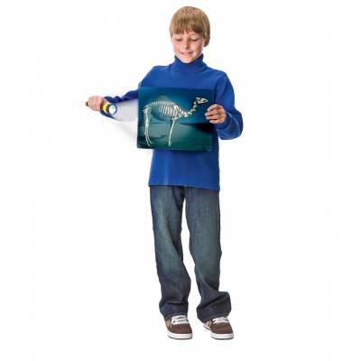 Das Innenleben der Menschen und Tiere, 16 Karten