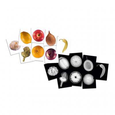 Röntgenbilder Pflanzen, 84 Teile, inkl. Bildkarten