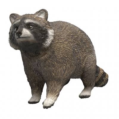 Schleich® Waschbär