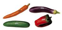 Shaker-Set „Gemüse“
