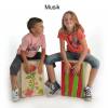 Cajon Bausatz
