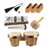 Schul-Musikwagen mit Instrumenten-Set 1 und 2