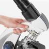 Binokulares Mikroskop BioBlue WL 260 LED