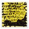 Sensorik-Platten Liquid, 6er-Set