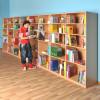 Modulus® Schulbibliothek "Berlin"