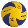 Trainings-Volleyball