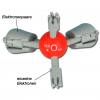 Toytomics Molekülbaukasten - Basis-Set