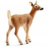 Schleich® Heimische Wildtiere im Set