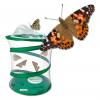 Schmetterlingszucht-Set