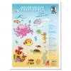 Ausmalbilder "Unterwasserwelt"