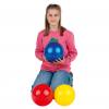 Wiemann Lehrmittel® Ballset mit 10 Spielbällen im Netz