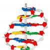 DNA-Modell groß, zerlegbar
