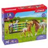Schleich® Horse Club Lisas Turniertraining