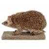 Ganzpräparat Igel