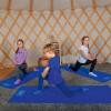 Yoga- und Gymnastikmatte
