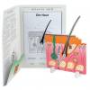 Anatomisches Modell "Die Haut"