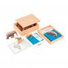 Nienhuis Montessori® Kontinentkiste