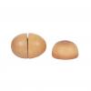 Lebensmittel-Set Fresh, vegetarisch, 17 Teile