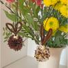 Pompon-Macher