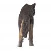 Schleich® Amerikanischer Wolf
