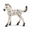 Schleich® Knabstrupper Fohlen