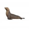 Schleich® Seelöwe