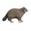 Schleich® Waschbär