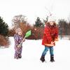 Schneeschaufeln im 2er-Set