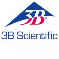 3B Scientific